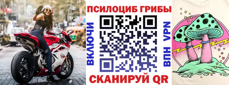 Псилоцибиновые грибы Cubensis наркошоп Мантурово